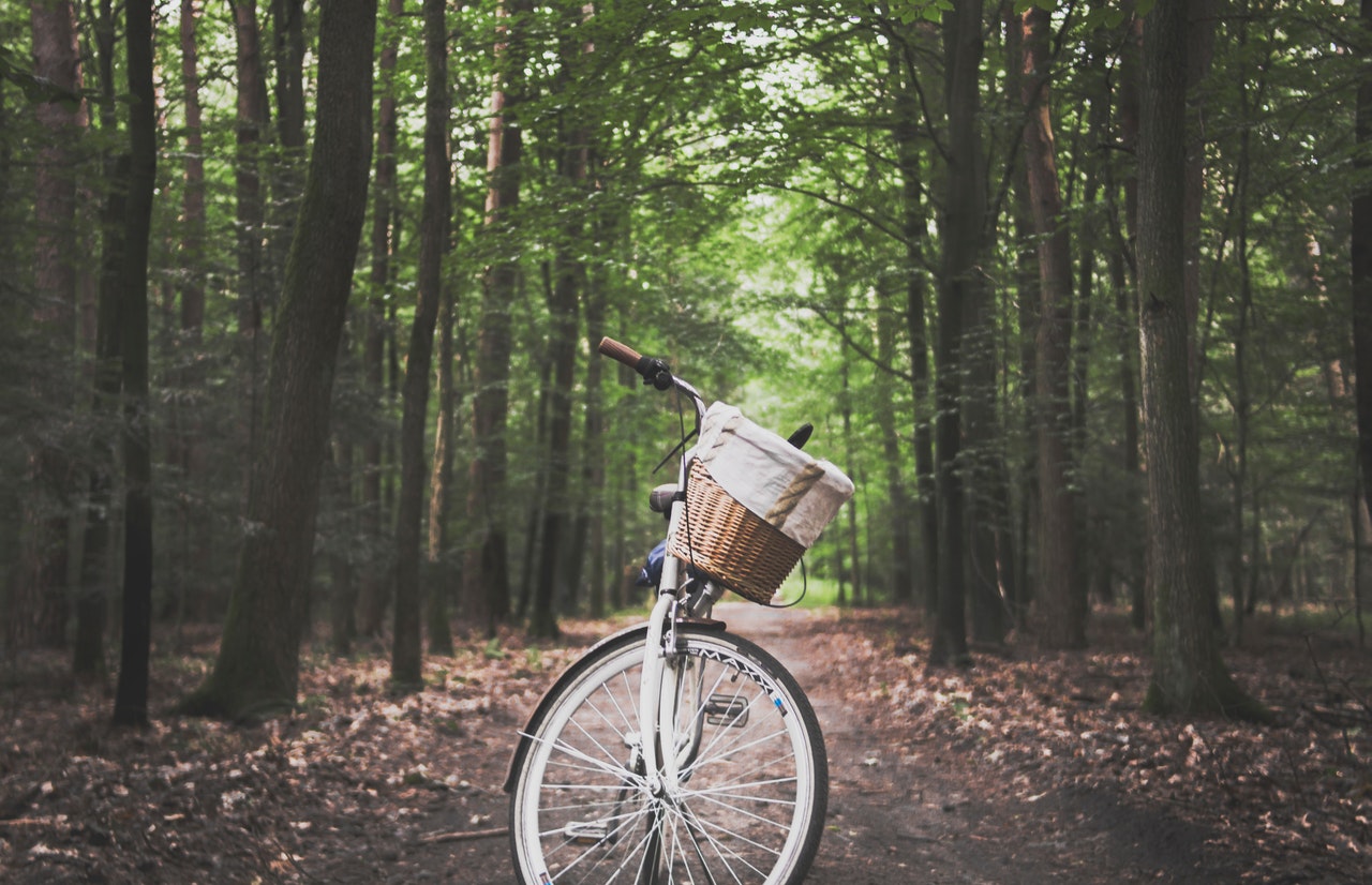 Cykel holder parkeret i en skov